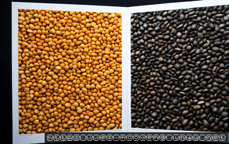 Emulsificantes alimentarios: cuándo se usan, cómo elegirlos y qué revisar en la etiqueta 4 식품에서의 유화제 사용 관련 이미지 2