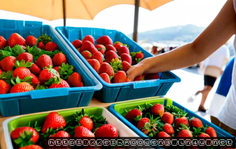 Materiales biodegradables para envases alimentarios: cómo elegir entre barrera, coste y fin de vida 3 식품 포장에서의 생분해성 소재 개발 관련 이미지 1